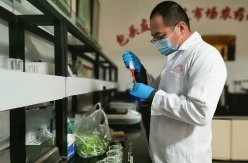 今日食用農(nóng)產(chǎn)品檢測結(jié)果公示丨吃雞肉會致癌？雞肉還能不能吃了