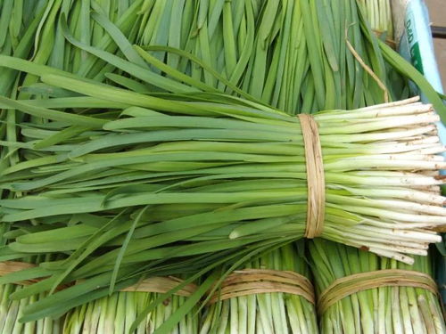 膠州人注意 韭菜買賣出新規(guī)，違規(guī)最高可罰20萬，農(nóng)產(chǎn)品安全再升級