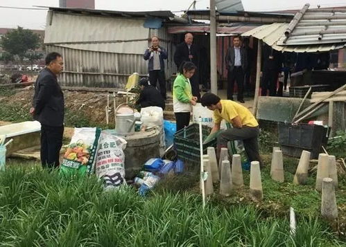 筑牢安全防線，高明區(qū)開(kāi)展節(jié)前食用農(nóng)產(chǎn)品專項(xiàng)檢查行動(dòng)