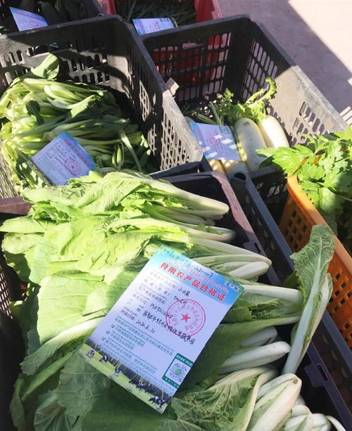 西藏食用農(nóng)產(chǎn)品合格證累計(jì)出具突破4600張，質(zhì)量安全追溯體系穩(wěn)步構(gòu)建